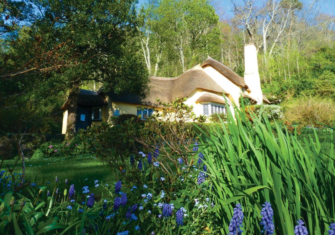 Southcliffe B&B Lynton Dış mekan fotoğraf