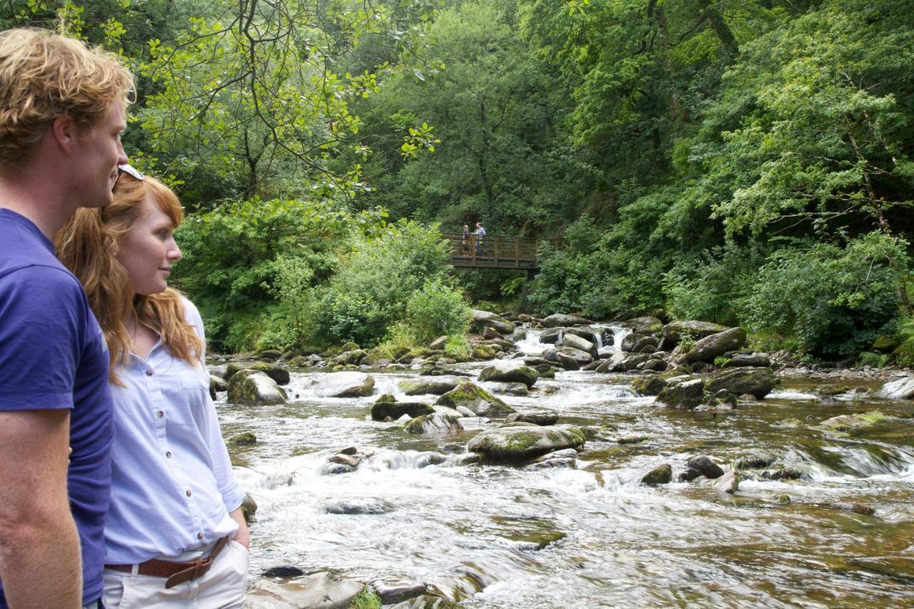 Southcliffe B&B Lynton Dış mekan fotoğraf